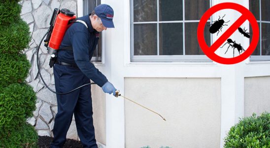 Çaycuma Uçan Haşere İlaçlama böcek ilaçlama ve haşere kontrolü — ilaclama-tr.com